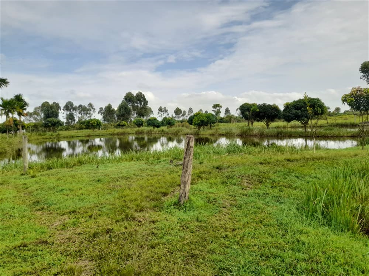 Agricultural land for sale in Kikube Luweero Uganda