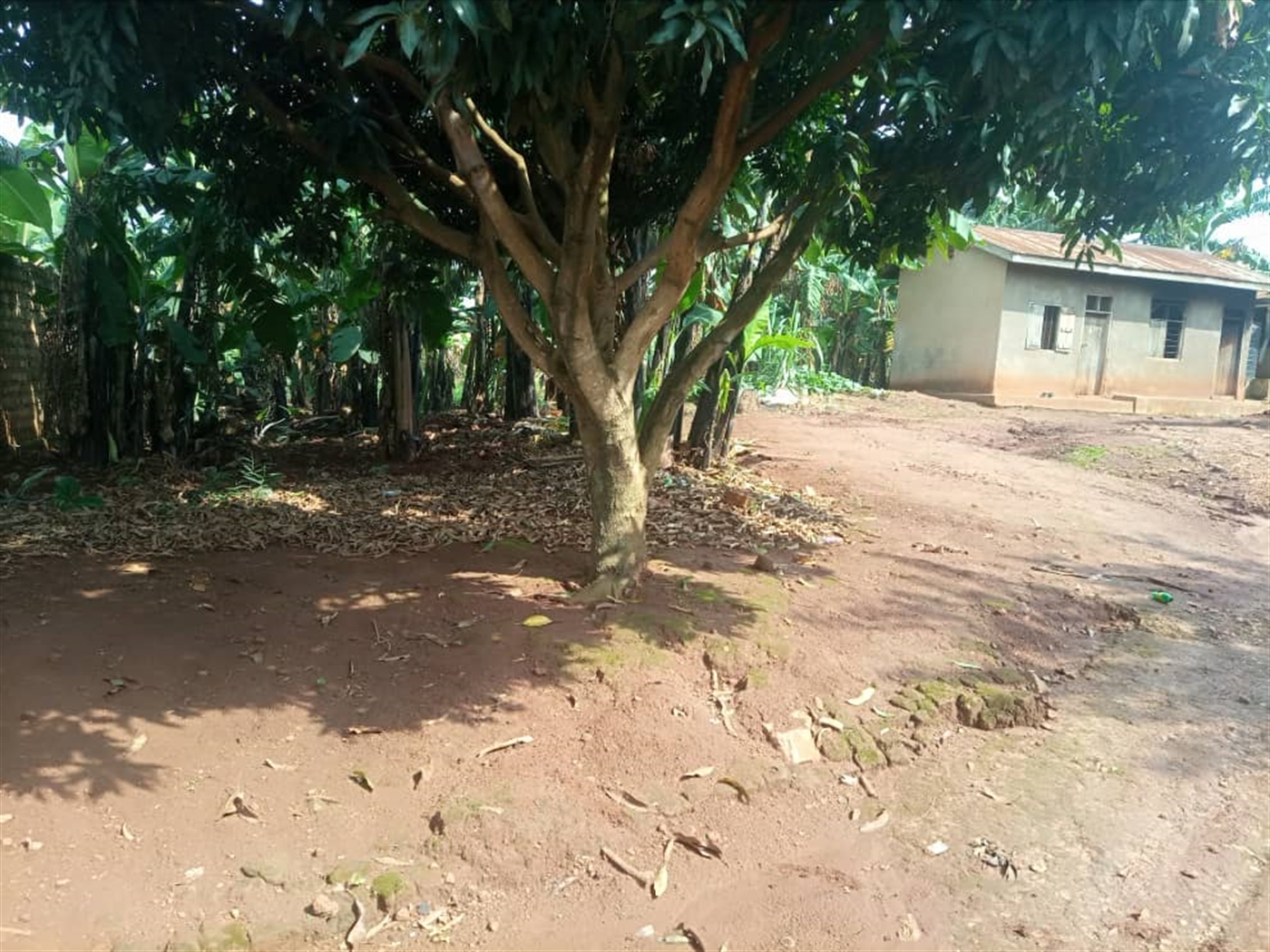 Commercial land for sale in Buloba Wakiso Uganda