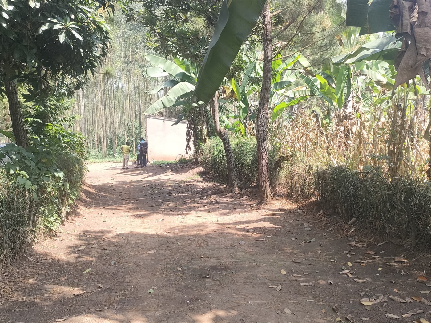 Commercial land for sale in Busunjju Mityana Uganda