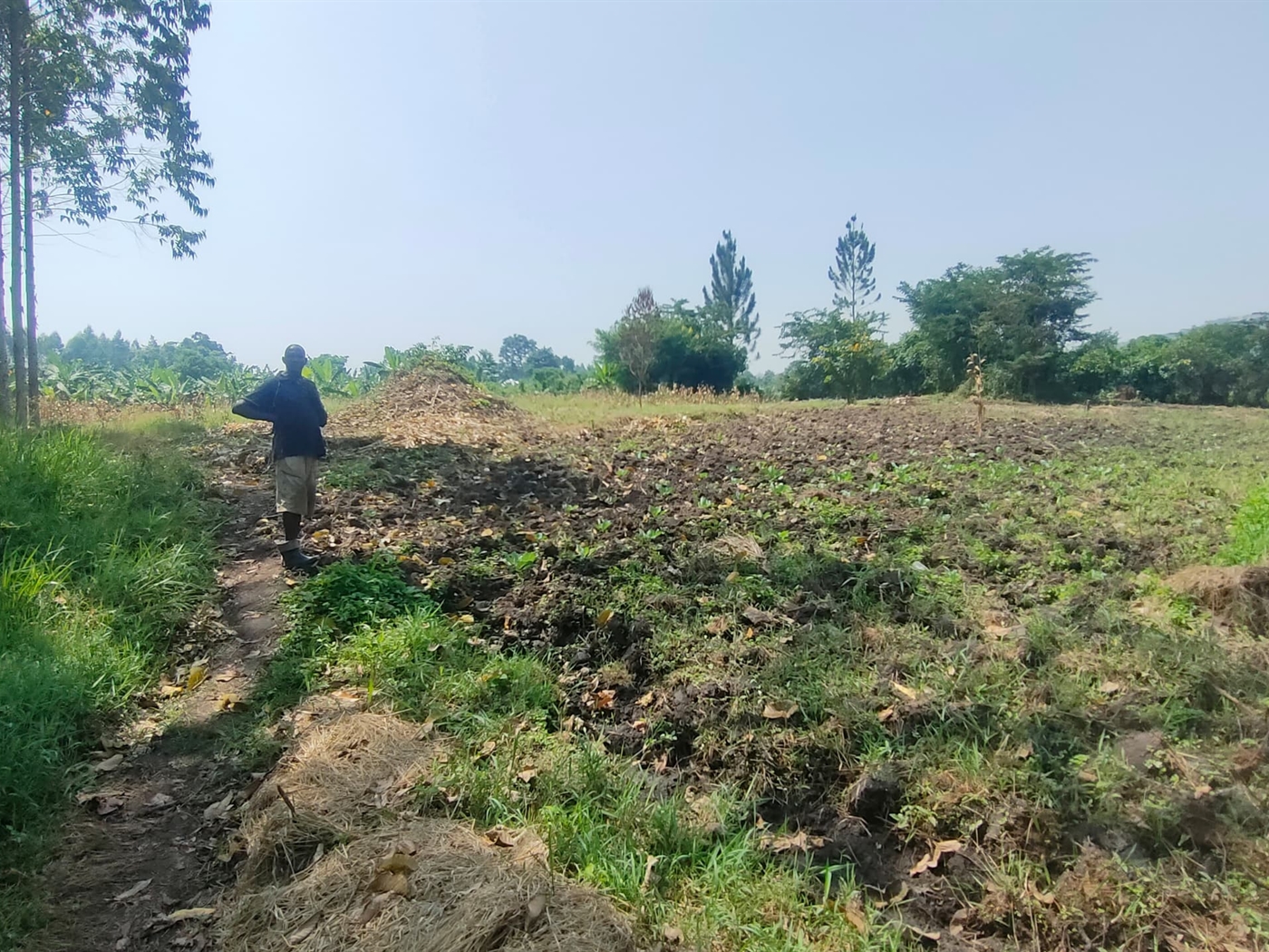 Commercial land for sale in Busunjju Mityana Uganda
