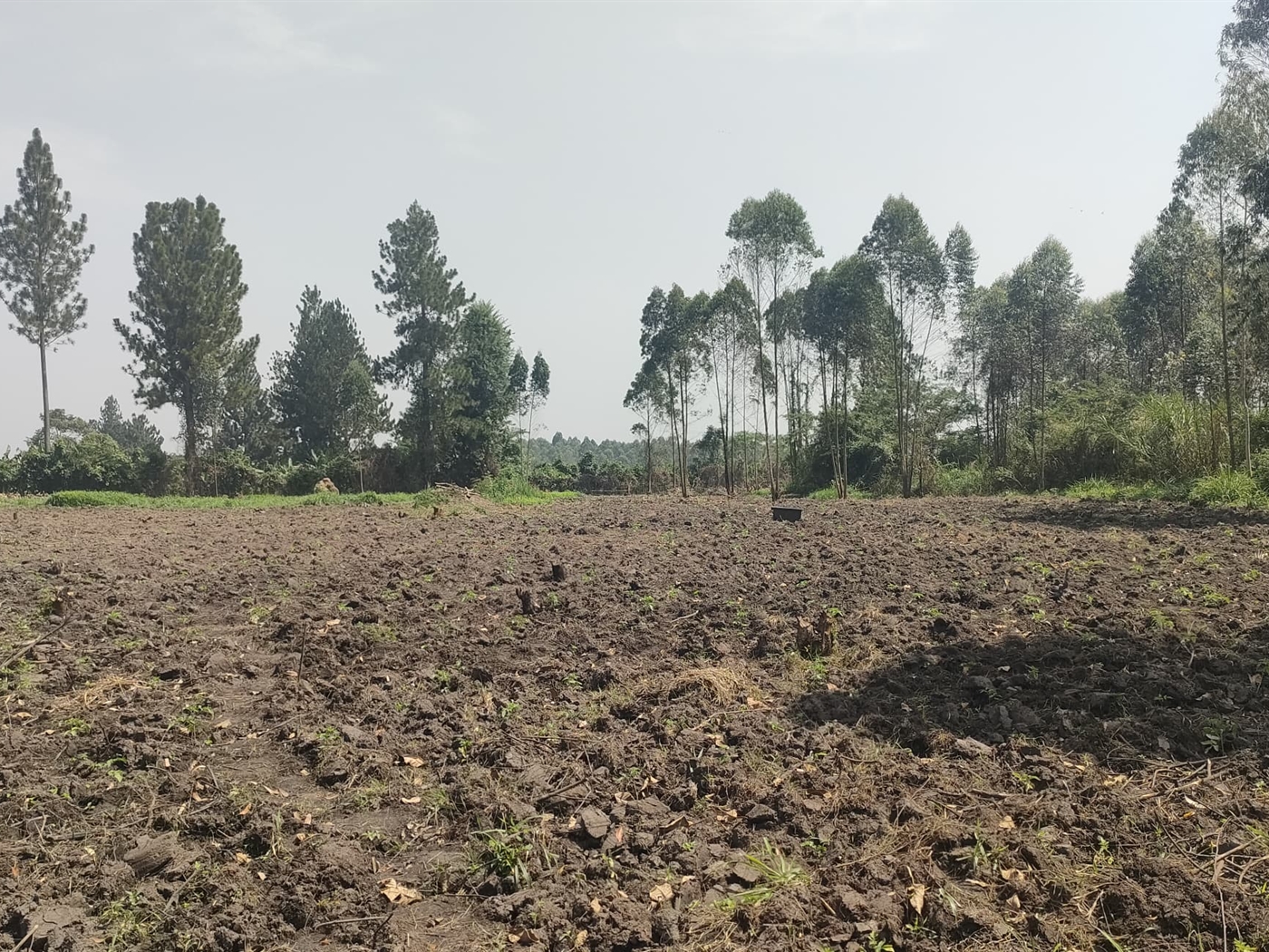 Commercial land for sale in Busunjju Mityana Uganda