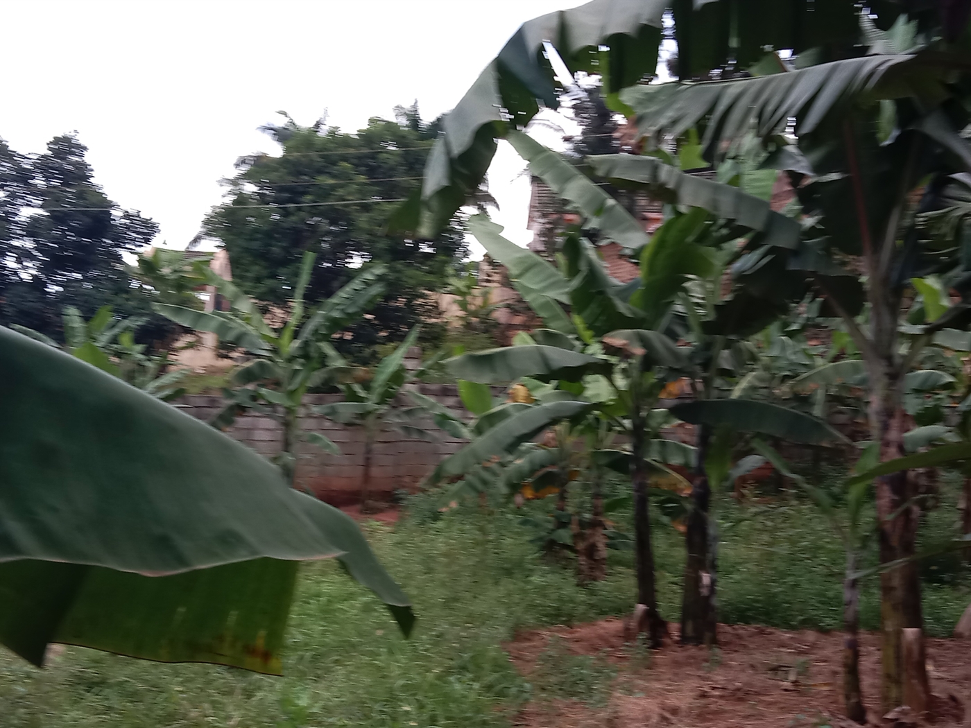 Multipurpose space for sale in Seguku Wakiso Uganda