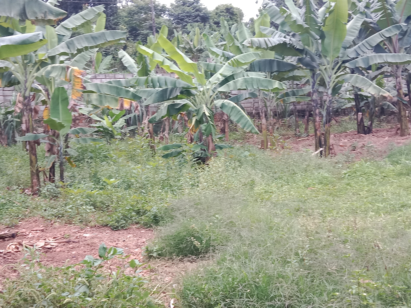 Multipurpose space for sale in Seguku Wakiso Uganda