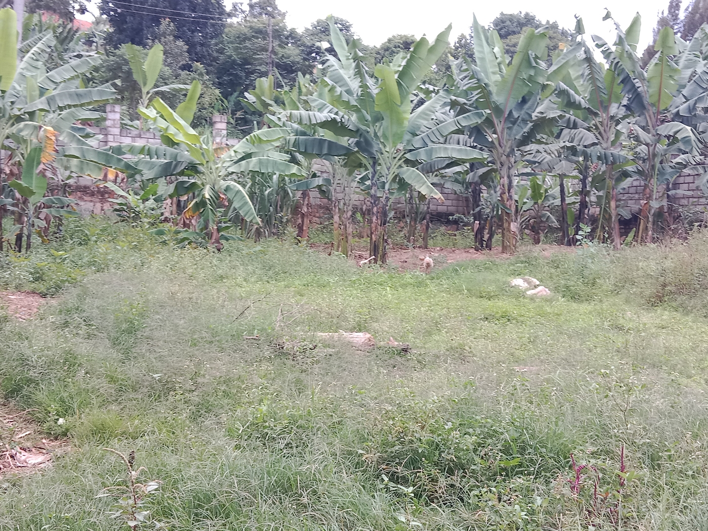 Multipurpose space for sale in Seguku Wakiso Uganda