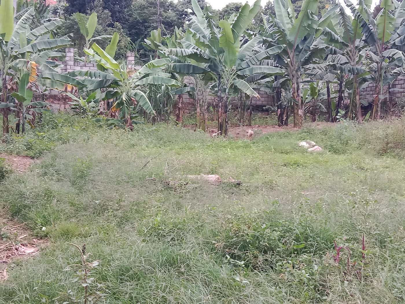 Multipurpose space for sale in Seguku Wakiso Uganda