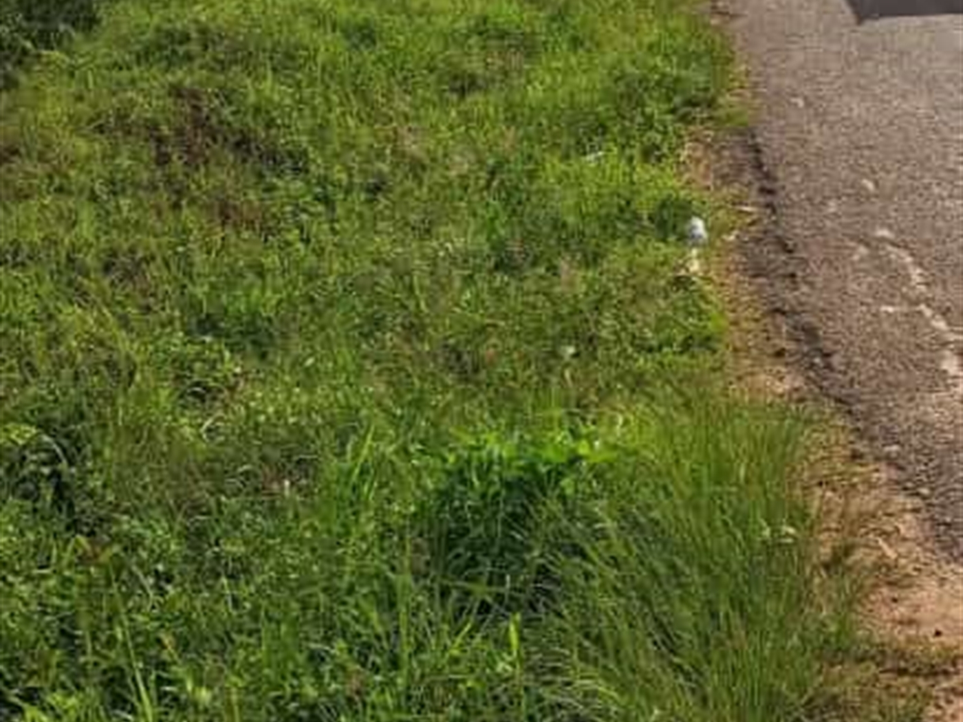 Commercial land for sale in Gayaza Wakiso Uganda,