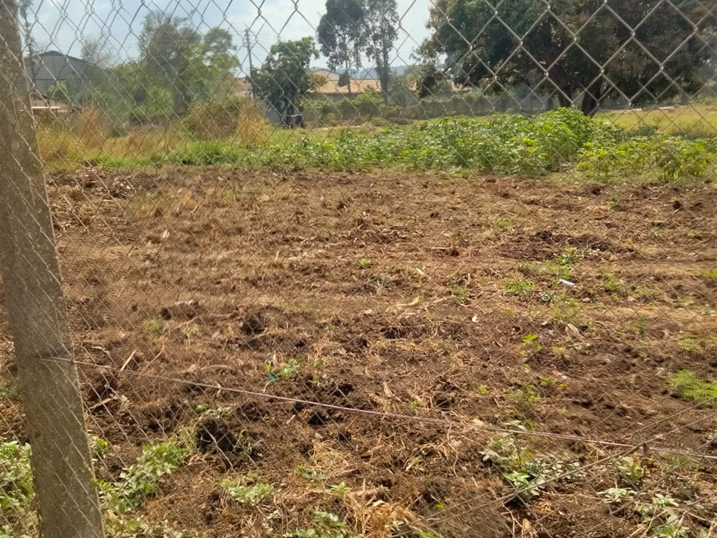 Commercial land for sale in Jinjacenter Jinja Uganda