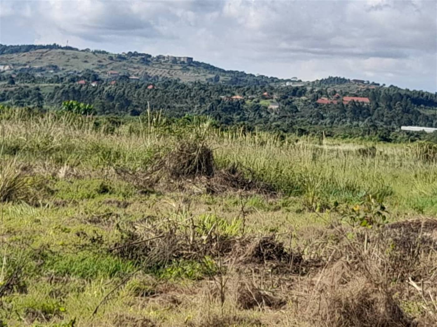 Commercial land for sale in Jjandira Mpigi Uganda