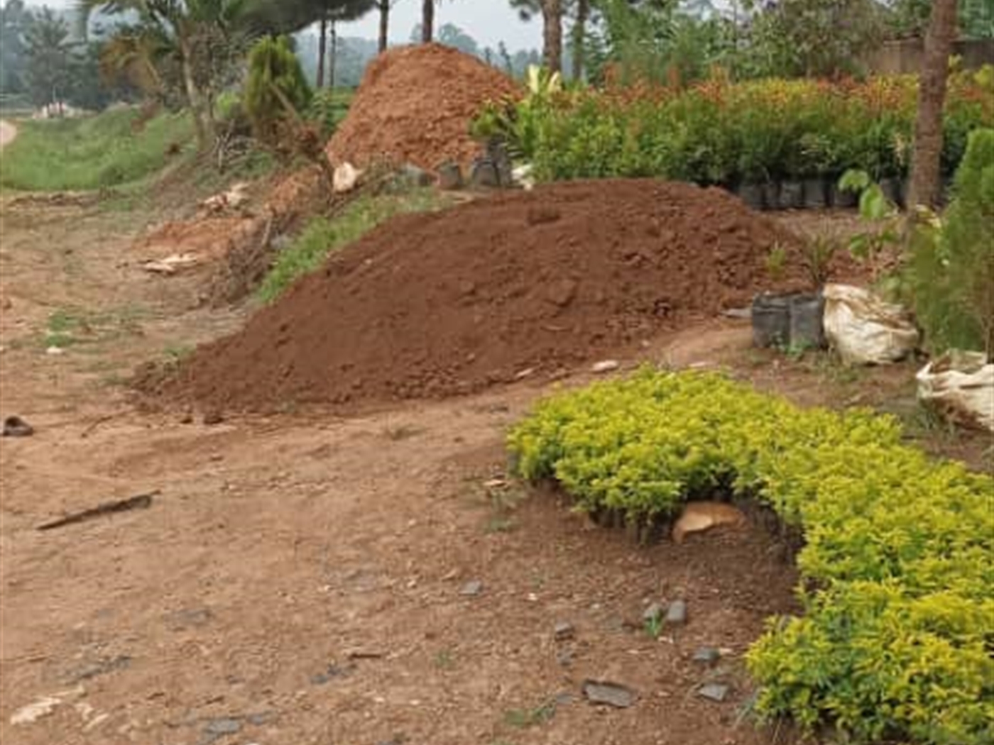 Commercial land for sale in Kabanyolo Wakiso Ugand...