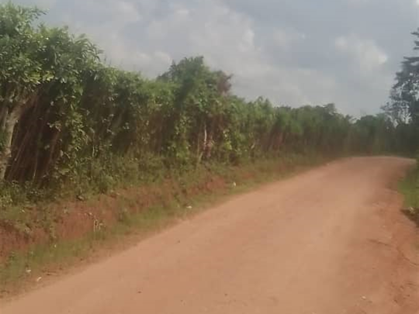 Commercial land for sale in Kalagi Mukono Uganda