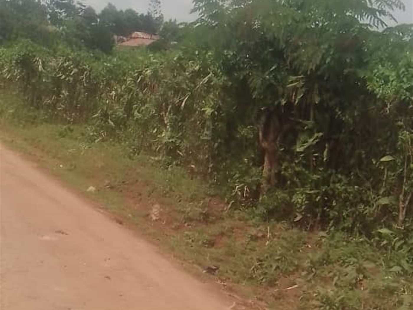 Commercial land for sale in Kalagi Mukono Uganda