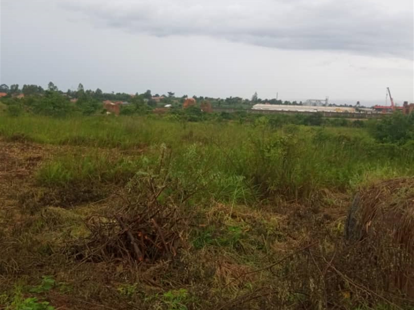Commercial land for sale in Kalagi Mukono Uganda