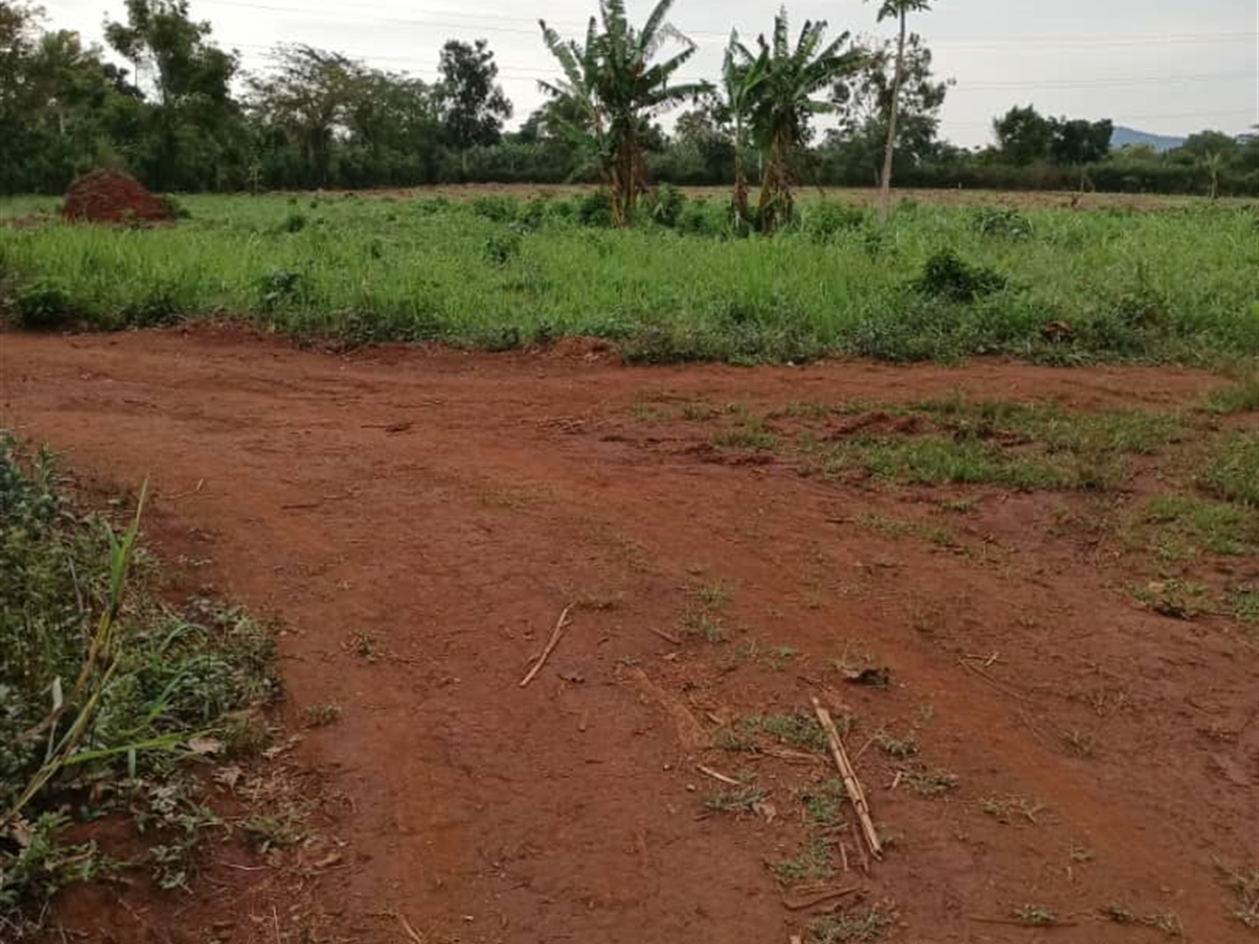 Commercial land for sale in Kalule Luweero Uganda