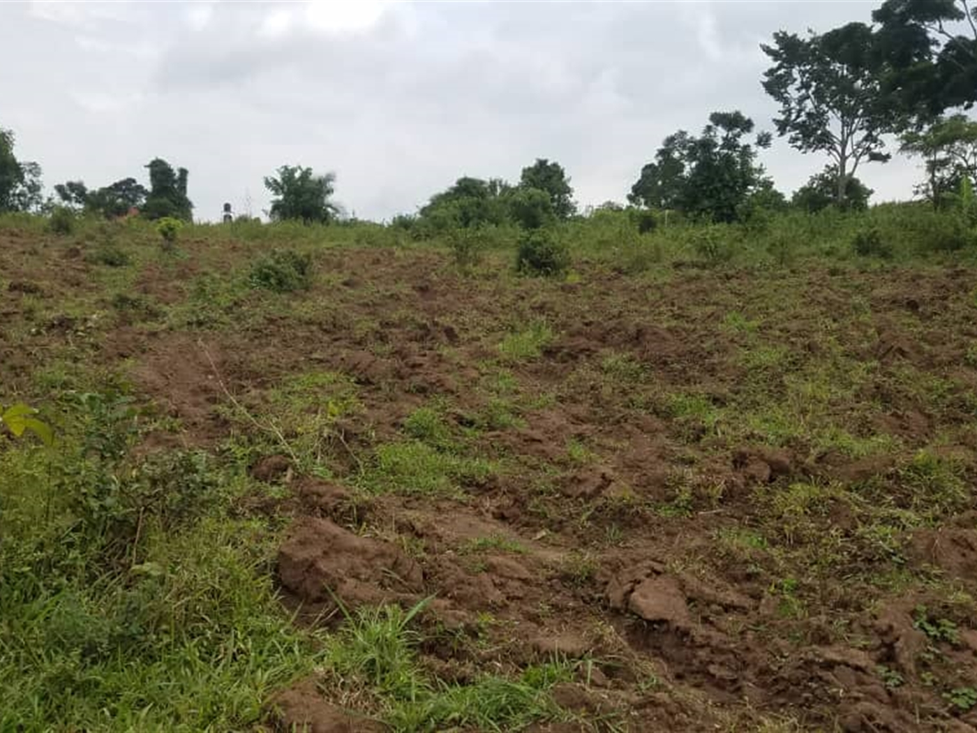 Commercial land for sale in Nakassajja Wakiso Uganda