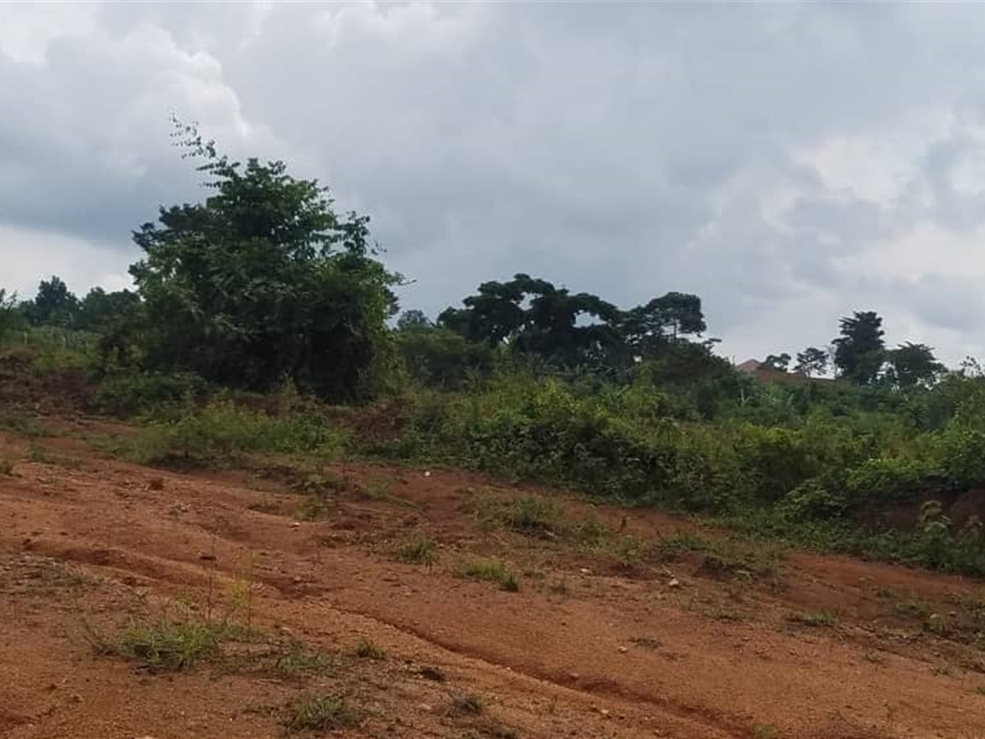 Commercial land for sale in Nakassajja Wakiso Ugan...