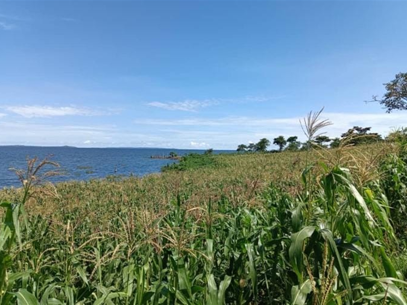 Commercial land for sale in Katosi Mukono Uganda