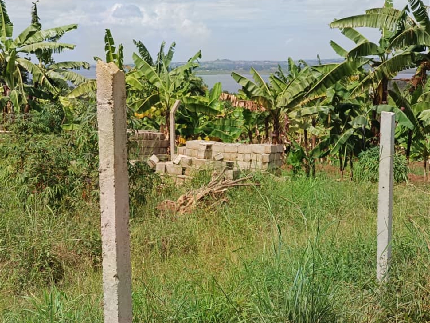 Commercial land for sale in Kigo Wakiso Uganda