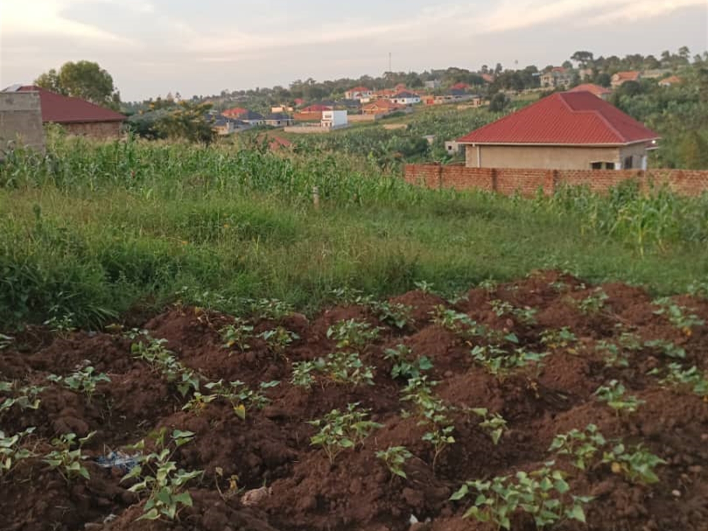 Commercial land for sale in Manyagwa Wakiso Uganda