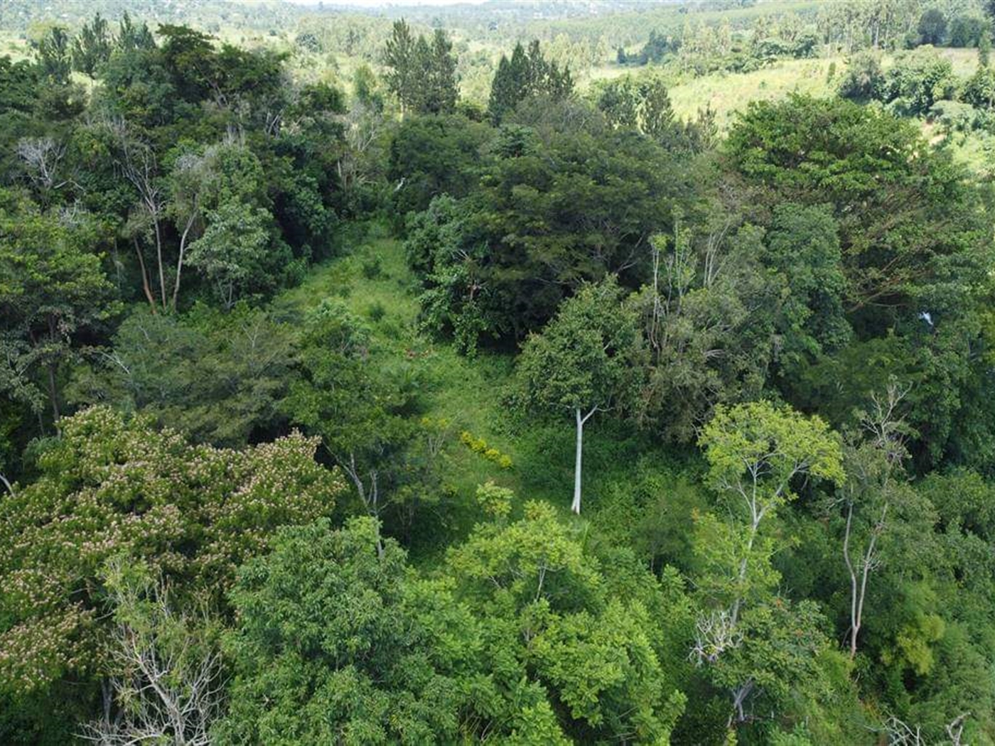 Commercial land for sale in Kirungu Jinja Uganda