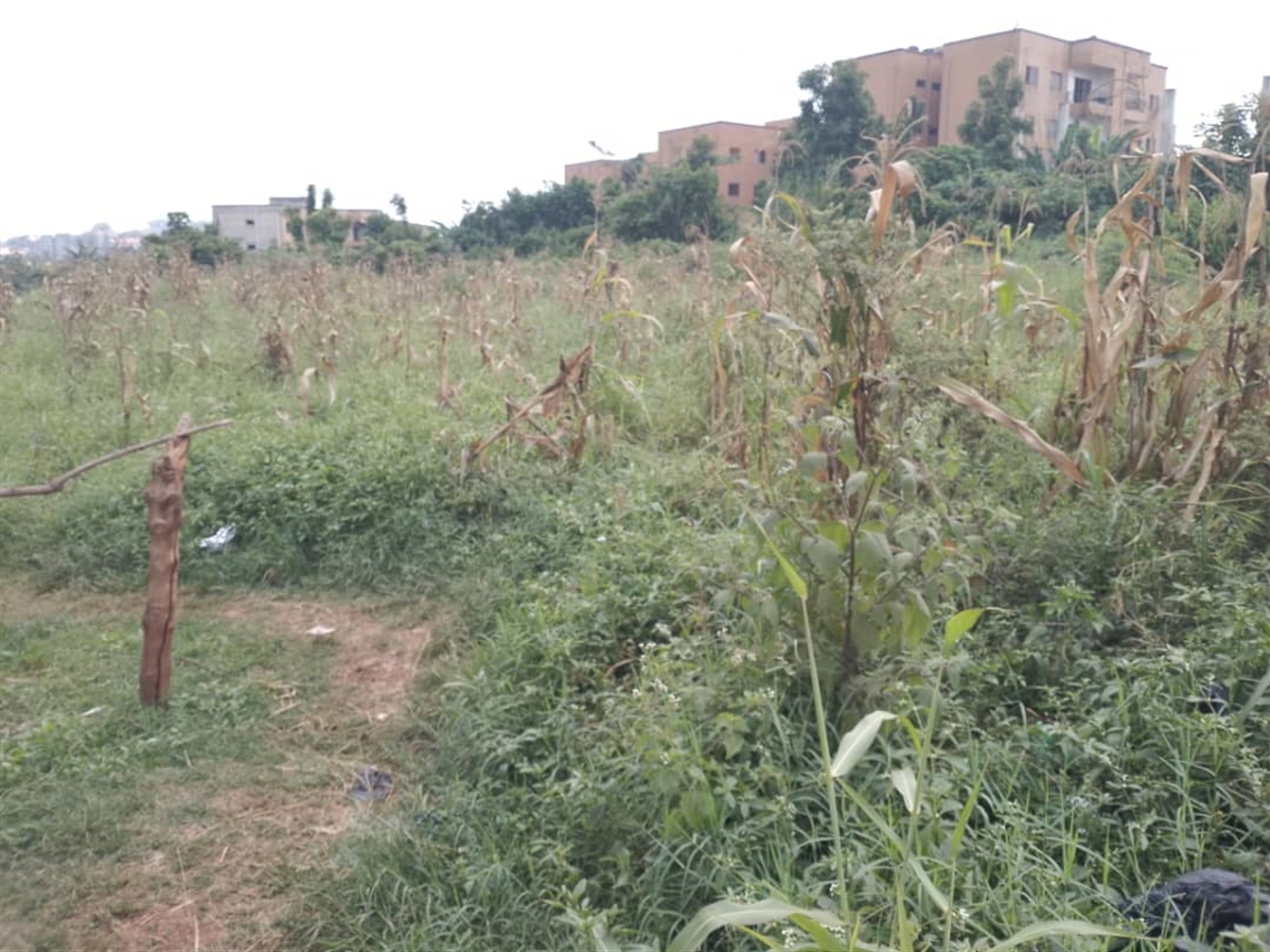 Commercial land for sale in Komamboga Wakiso Uganda