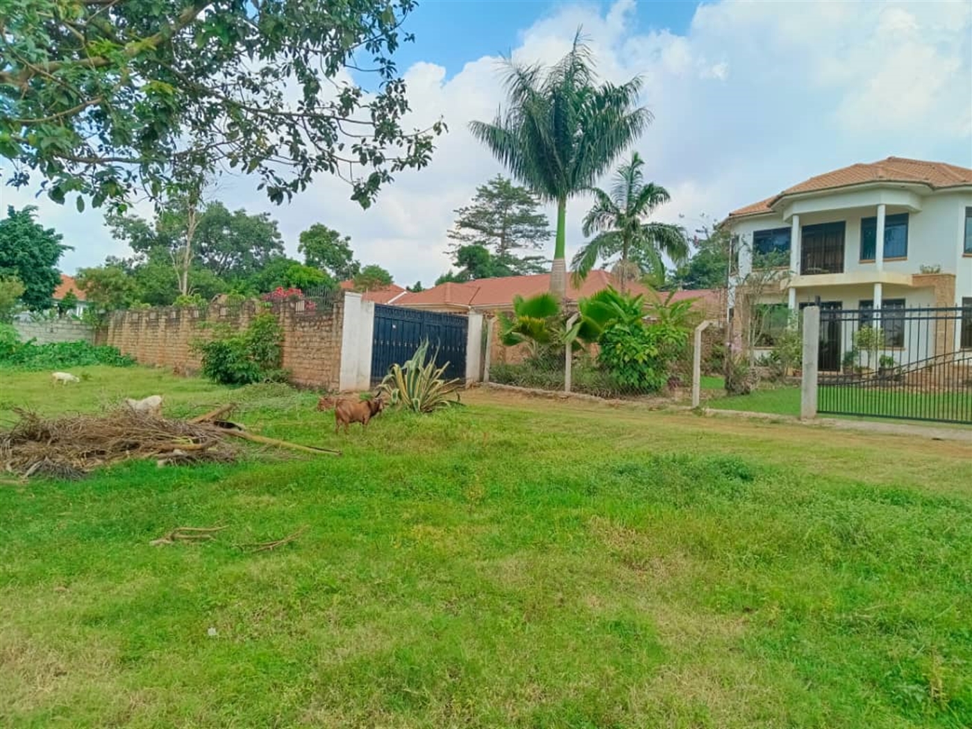 Commercial land for sale in Kulambilo Wakiso Uganda