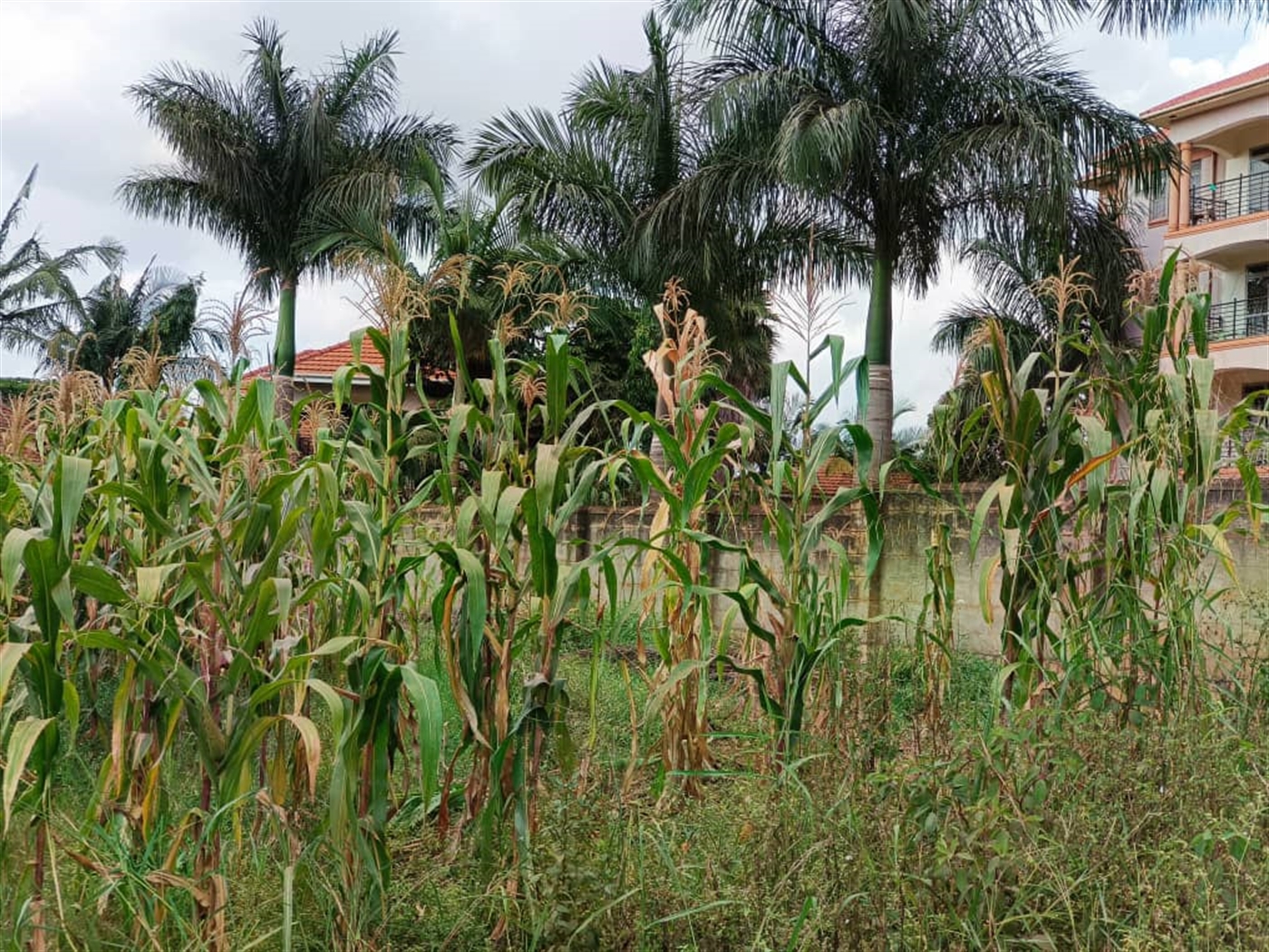 Commercial land for sale in Kulambilo Kampala Uganda
