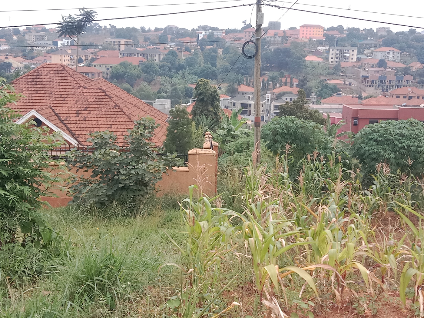 Commercial land for sale in Kyanja Kampala Uganda