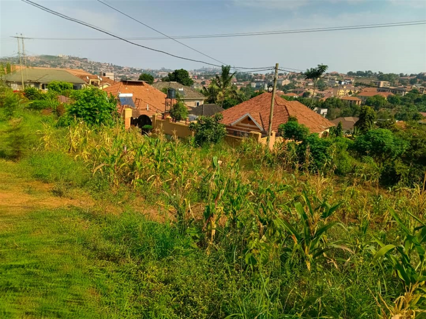 Commercial land for sale in Kyanja Kampala Uganda