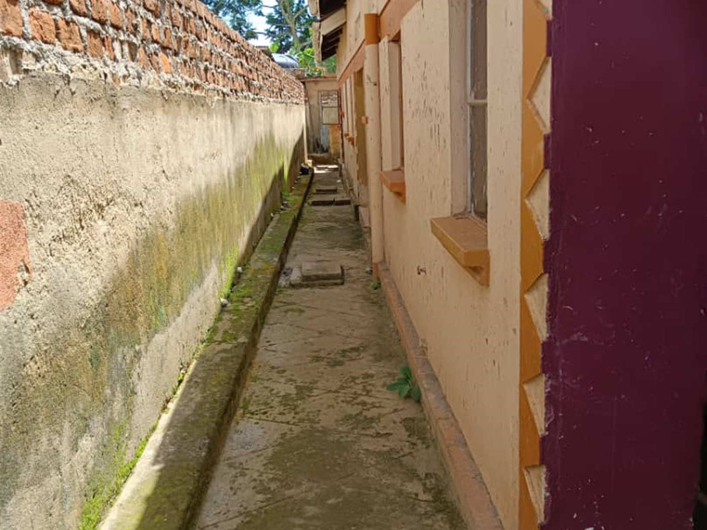 2 bedroom Rental units for sale in Seeta Mukono Uganda